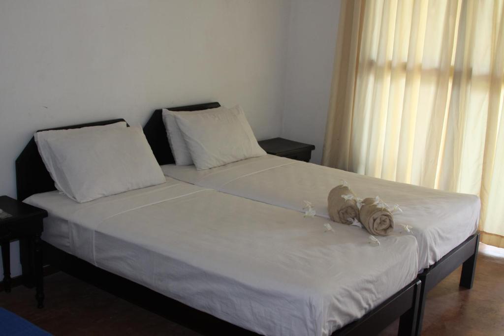 Ceylonica Beach Hotel Νεγκόμπο Εξωτερικό φωτογραφία