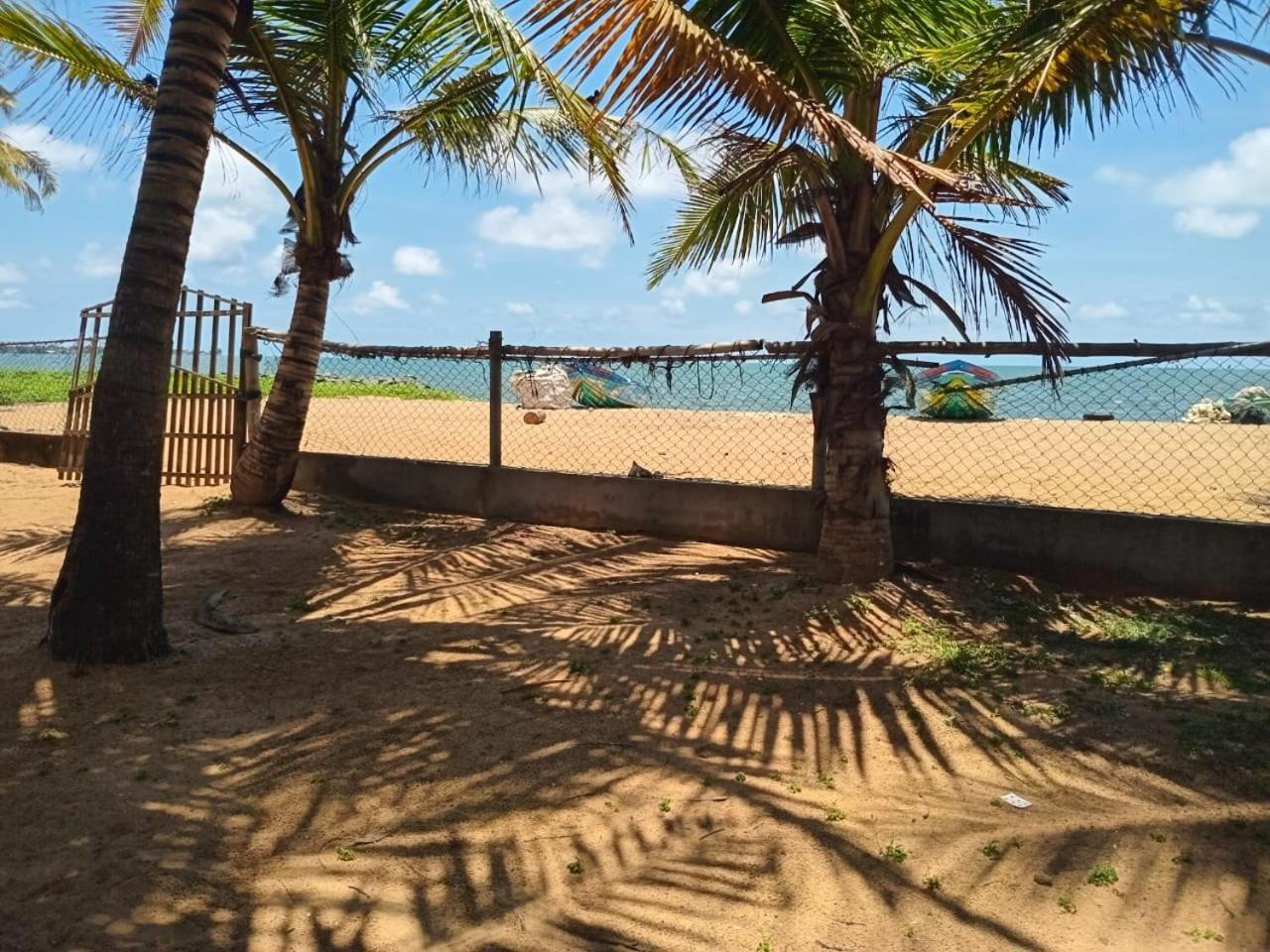 Ceylonica Beach Hotel Νεγκόμπο Εξωτερικό φωτογραφία